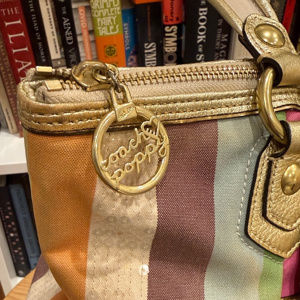 Coach Poppy Multicolor Striped Tote Bag with Gold Accents - Picture 9 of 16